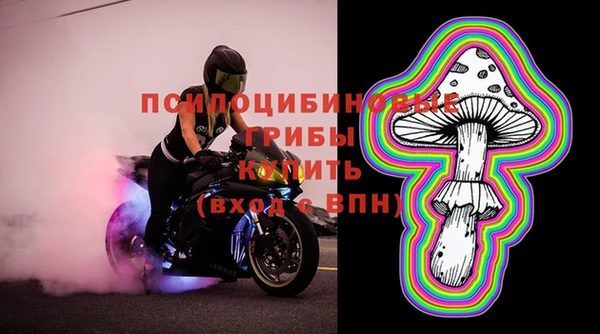 крисы Нея