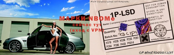 бошки Аркадак