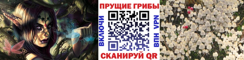 Галлюциногенные грибы мухоморы  Каменск-Уральский 