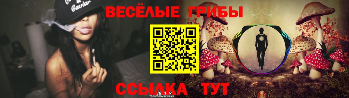 Каменск-Уральский  купить наркотики цена  Вход с VPN  Псилоцибиновые грибы Magic Shrooms 